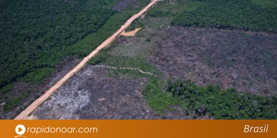 Desmatamento na Amazônia cai quase 37% e atinge menor nível de alertas em dez anos