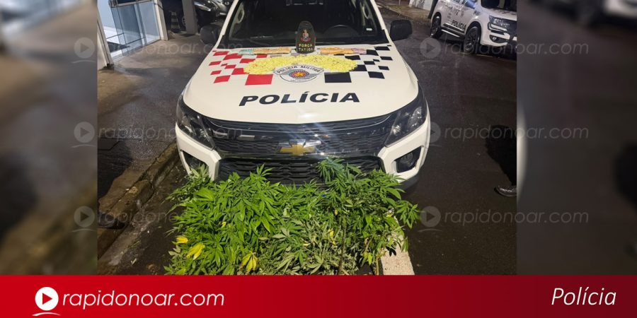 Foto: Polícia Militar