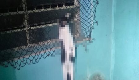 Após denúncia, PM encontra animais mortos e outros em situação de maus-tratos em Rio das Pedras – PIRANOT