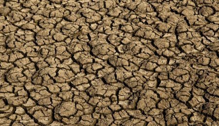 Desertificação ameaça água e alimentos de 39 milhões de brasileiros – PIRANOT