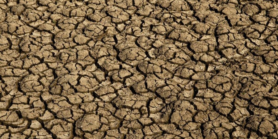 Desertificação ameaça água e alimentos de 39 milhões de brasileiros – PIRANOT