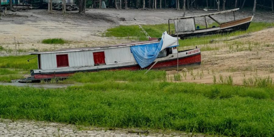 COP17 retoma acordo global contra secas após impasse de 2024 – PIRANOT