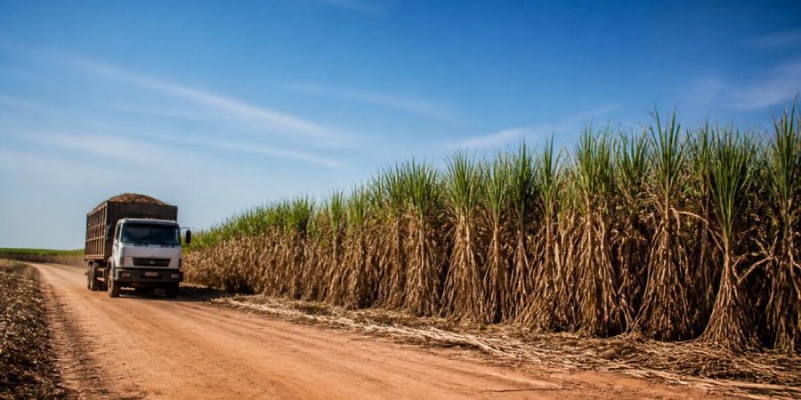 Conab reduz previsão da safra de cana, mas etanol cresce 11,7% – PIRANOT