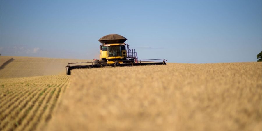 Índia libera exportação de trigo e pode aliviar oferta global – PIRANOT