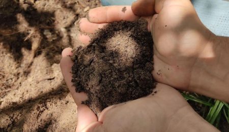 Cartilha ensina coleta de solo e ajuda a evitar erros no diagnóstico – PIRANOT