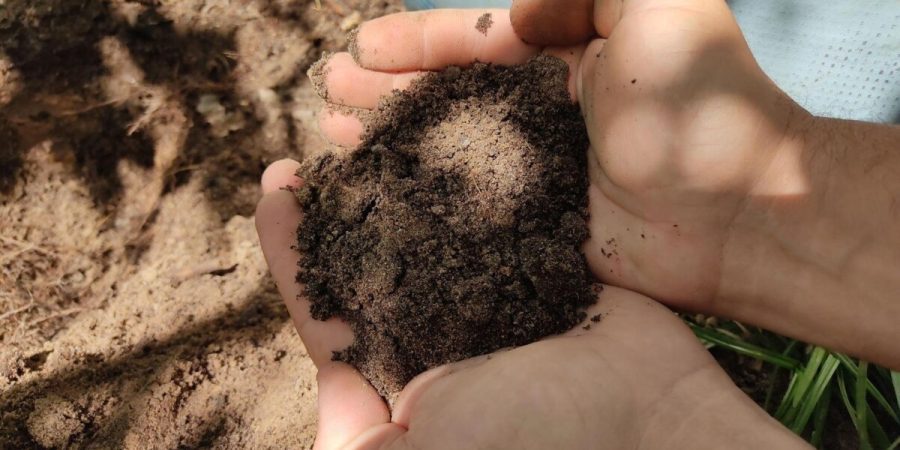 Cartilha ensina coleta de solo e ajuda a evitar erros no diagnóstico – PIRANOT