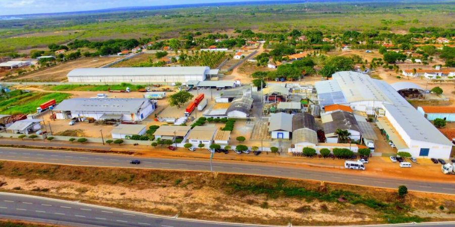 Nosso Coco diz ter faturado R$ 200 milhões em 2025 e mira alta de até 30% – PIRANOT