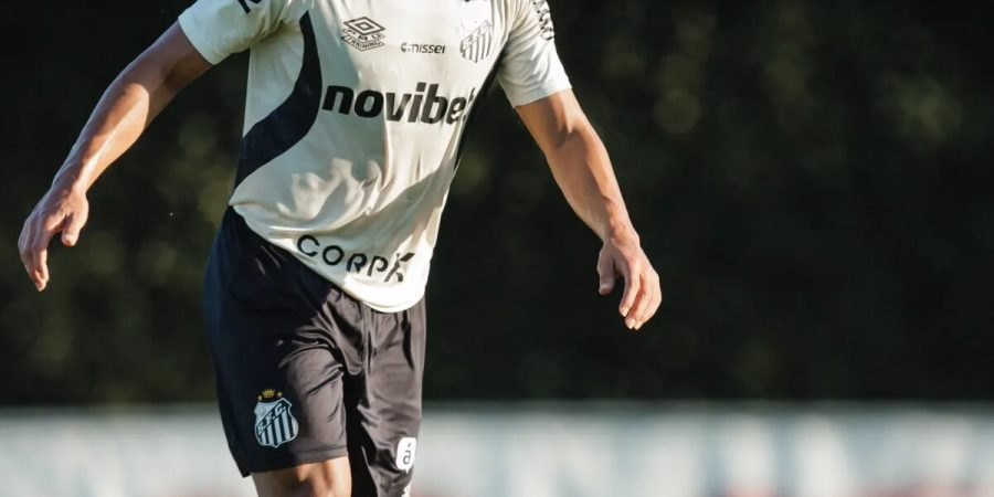 Trio volta a treinar e amplia opções do Santos contra o Internacional – PIRANOT
