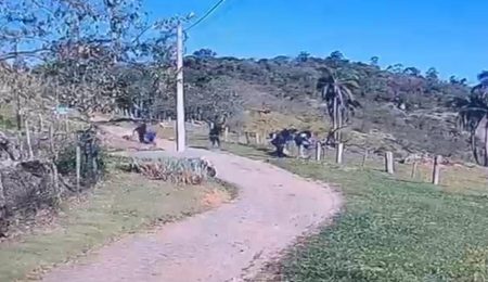 Polícia liga segundo preso por invasão a grupo denunciado pelo Gaeco – PIRANOT