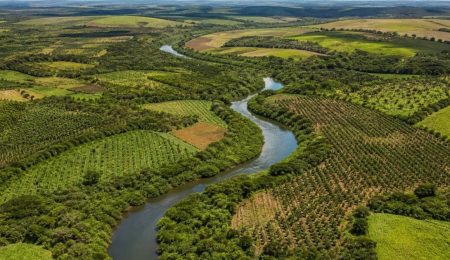 BNDES recebe propostas de até R$ 618,75 milhões para restaurar 12,5 mil hectares no Rio Doce – PIRANOT