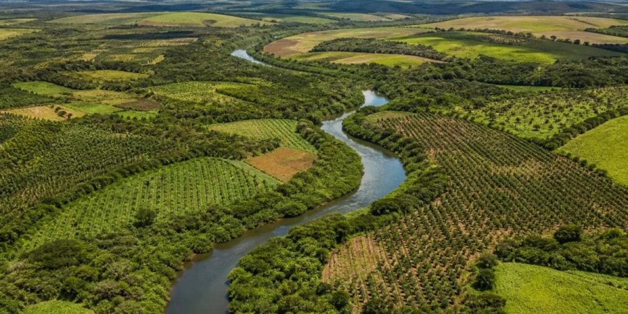 BNDES recebe propostas de até R$ 618,75 milhões para restaurar 12,5 mil hectares no Rio Doce – PIRANOT