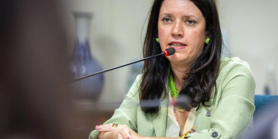 Coalizão de carbono aprova plano até 2030 em Wuhan sob presidência do Brasil – PIRANOT