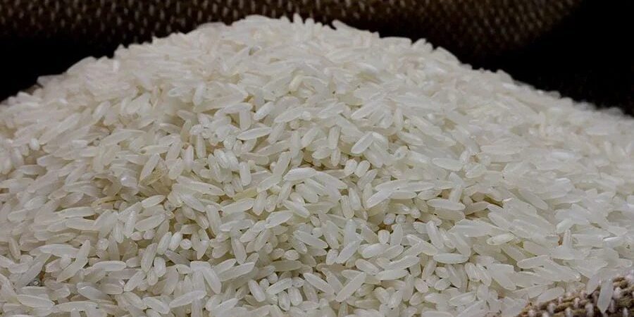 Disputa por arroz leva saca perto de R$ 90 em exportações no RS – PIRANOT