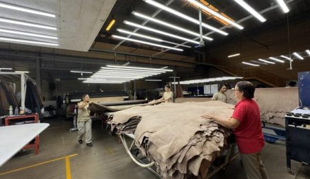JBS e Viva criam empresa de couro com capacidade para 20 milhões por ano – PIRANOT