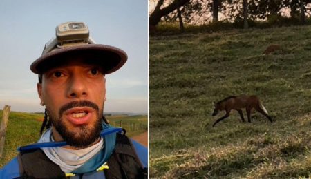 Corredor filma lobo-guará durante treino em estrada rural de Itatiba – PIRANOT