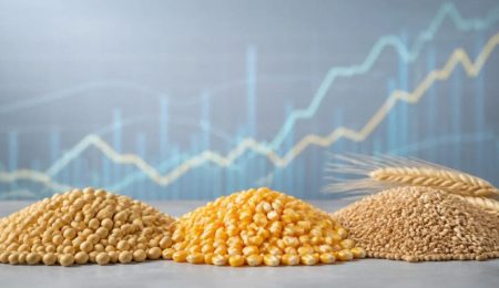Ofertas no mercado de capitais caem 16% em agosto, para R$ 48,8 bilhões – PIRANOT