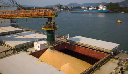 Justiça condena Mundial Marítima por trabalho sem registro no Porto de Santos – PIRANOT