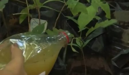 UFPB testa biodigestor de R$ 12 mil e mira réplica de R$ 2 mil na Paraíba – PIRANOT